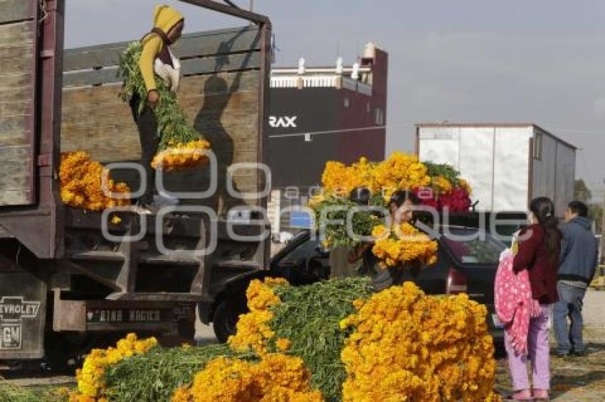 MERCADO DE FLORES