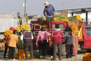 MERCADO DE FLORES