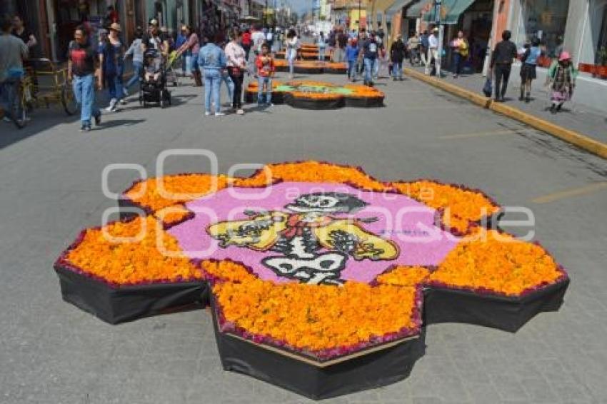 TLAXCALA . DIA DE MUERTOS