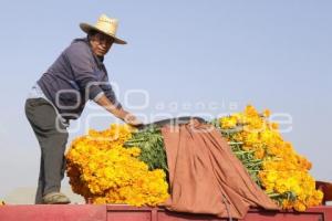 MERCADO DE FLORES