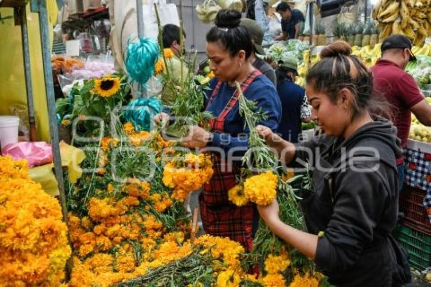 TLAXCALA . VENTA CEMPASÚCHIL