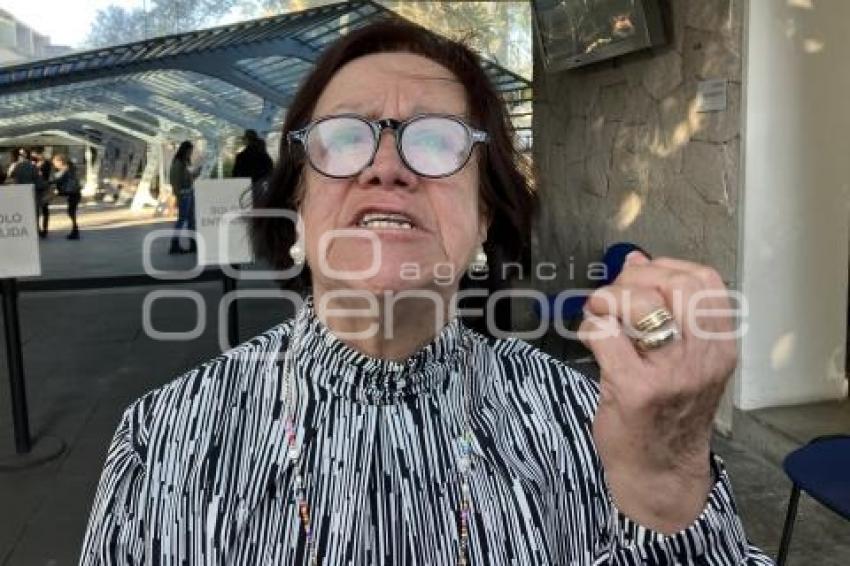 IRENE PACHECO Y PLASENCIA