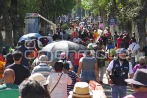 PANTEÓN MUNICIPAL . DÍA DE MUERTOS