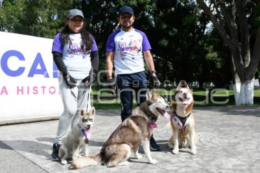 TLAXCALA . COMPETENCIA CANINA