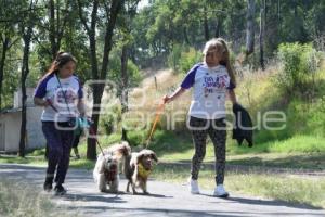 TLAXCALA . COMPETENCIA CANINA