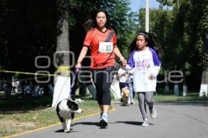 TLAXCALA . COMPETENCIA CANINA