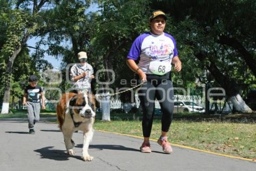 TLAXCALA . COMPETENCIA CANINA