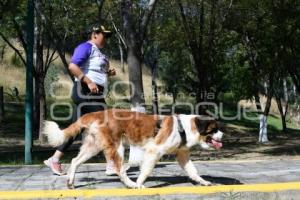 TLAXCALA . COMPETENCIA CANINA