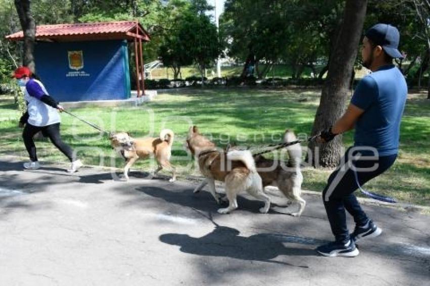 TLAXCALA . COMPETENCIA CANINA