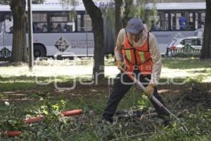 GRANDES PARQUES PARA TI