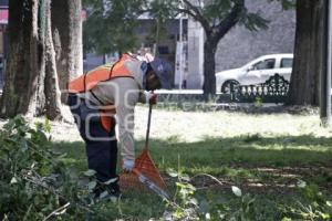 GRANDES PARQUES PARA TI