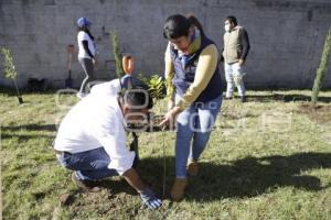 SAN ANDRÉS CHOLULA . JORNADA REFORESTACIÓN