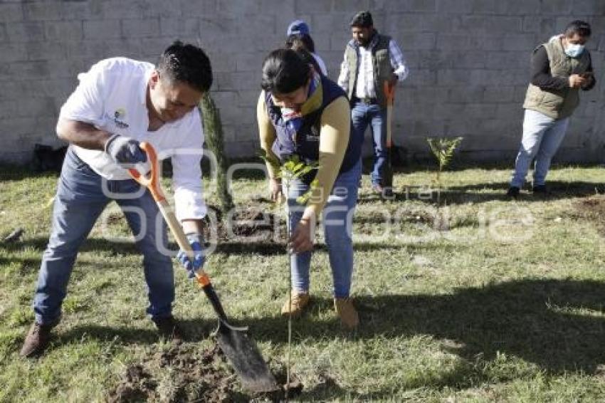 SAN ANDRÉS CHOLULA . JORNADA REFORESTACIÓN