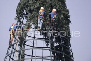 CCU . ÁRBOL DE NAVIDAD