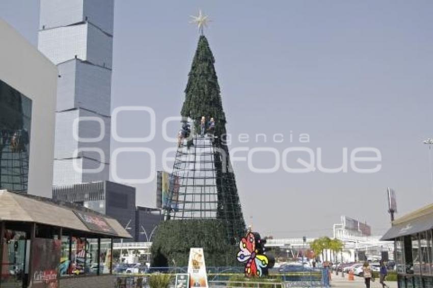 CCU . ÁRBOL DE NAVIDAD