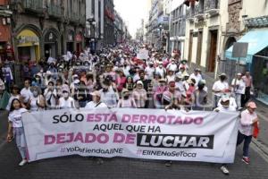 MARCHA DEFENSA DEL INE