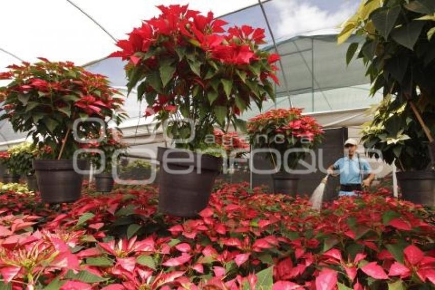 ATLIXCO . RUTA DE LAS MIL FLORES