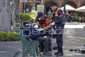 INDIGENTE ZÓCALO