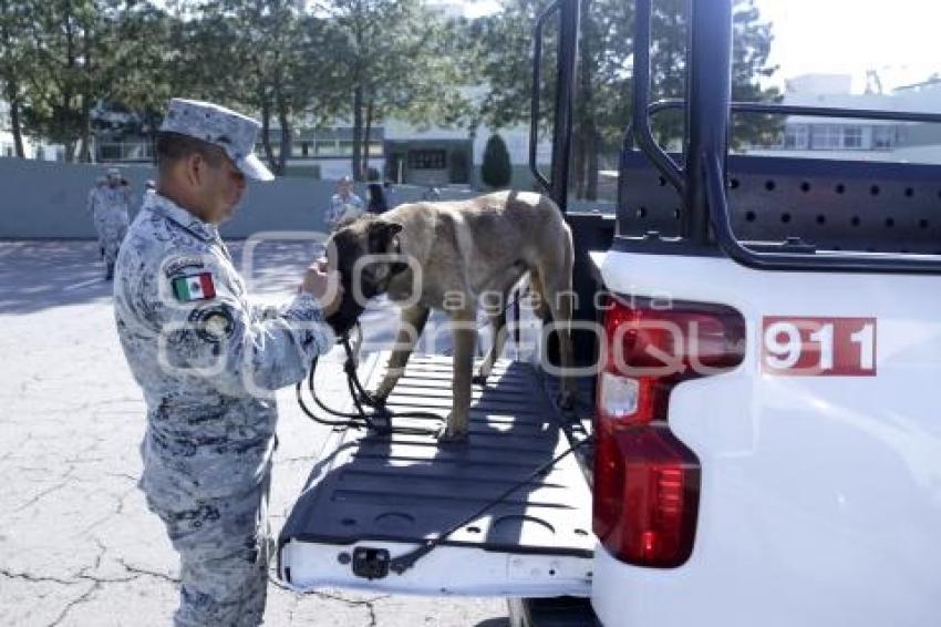 GUARDIA NACIONAL