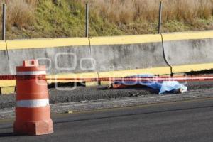 ATROPELLADO EN AUTOPISTA