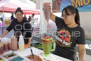 SAN ANDRÉS CHOLULA . FESTIVAL PICNIC