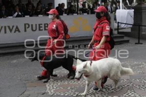 DESFILE . REVOLUCIÓN MEXICANA