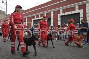 DESFILE . REVOLUCIÓN MEXICANA