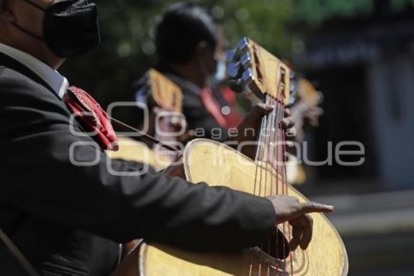 DÍA DEL MÚSICO