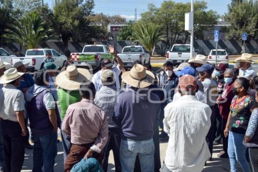 TEHUACÁN . PRODUCTORES CAMPO