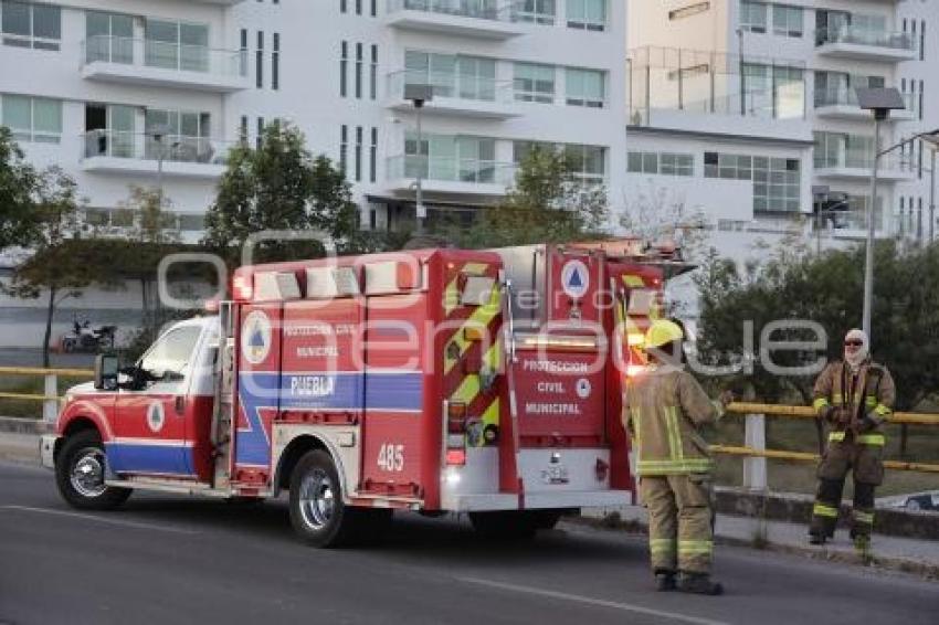 BOMBEROS 