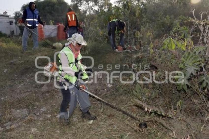 AYUNTAMIENTO . JORNADA DE LIMPIEZA