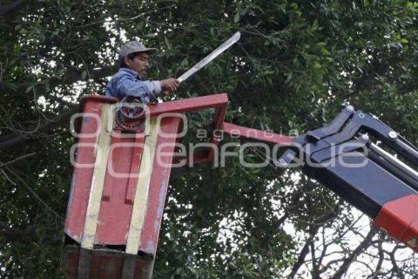 GRANDES PARQUES PARA TI