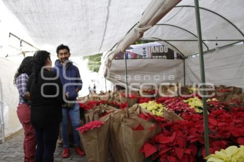 COMPRAS NAVIDEÑAS