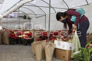 COMPRAS NAVIDEÑAS