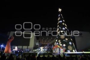 BUAP . ÁRBOL NAVIDEÑO