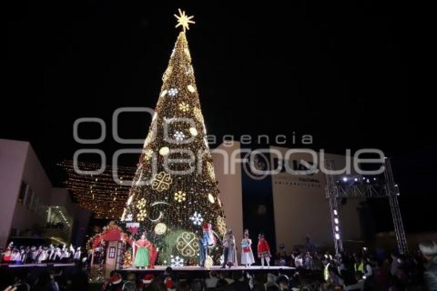 BUAP . ÁRBOL NAVIDEÑO