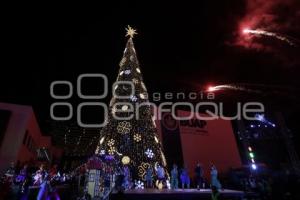 BUAP . ÁRBOL NAVIDEÑO