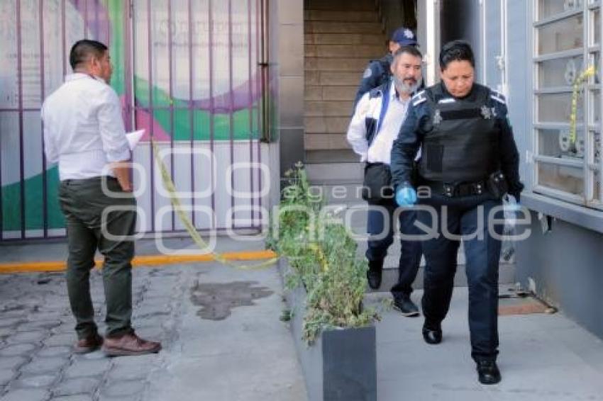 SEGURIDAD . MUJER HERIDA