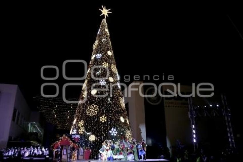 BUAP . ÁRBOL NAVIDEÑO