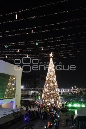 BUAP . ILUMINACIÓN NAVIDEÑA