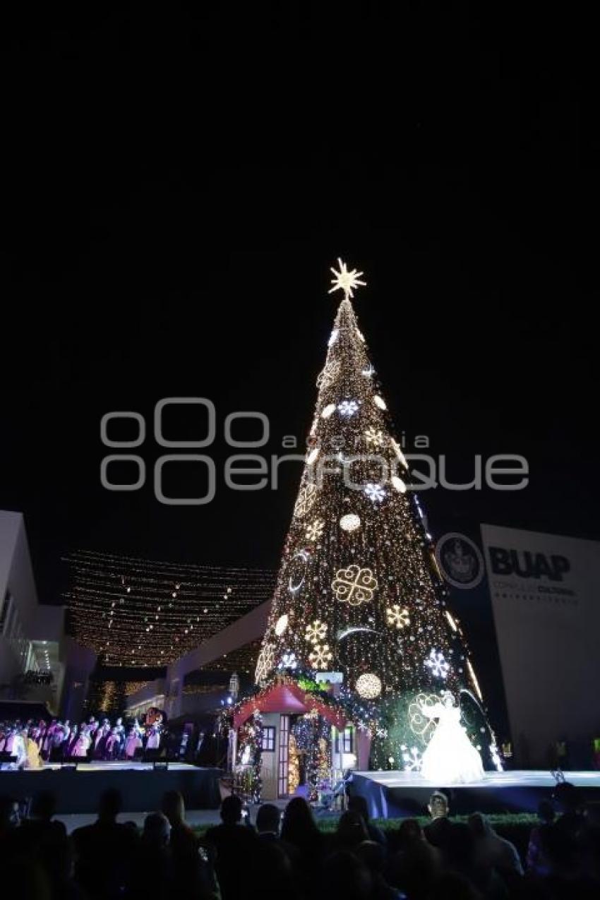 BUAP . ÁRBOL NAVIDEÑO