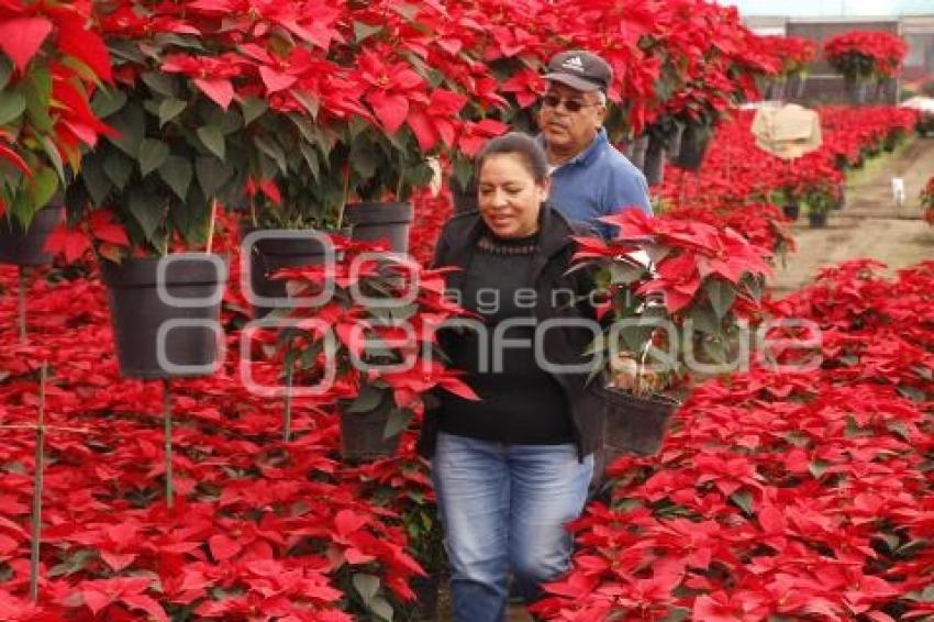 ATLIXCO . VENTA DE NOCHEBUENA