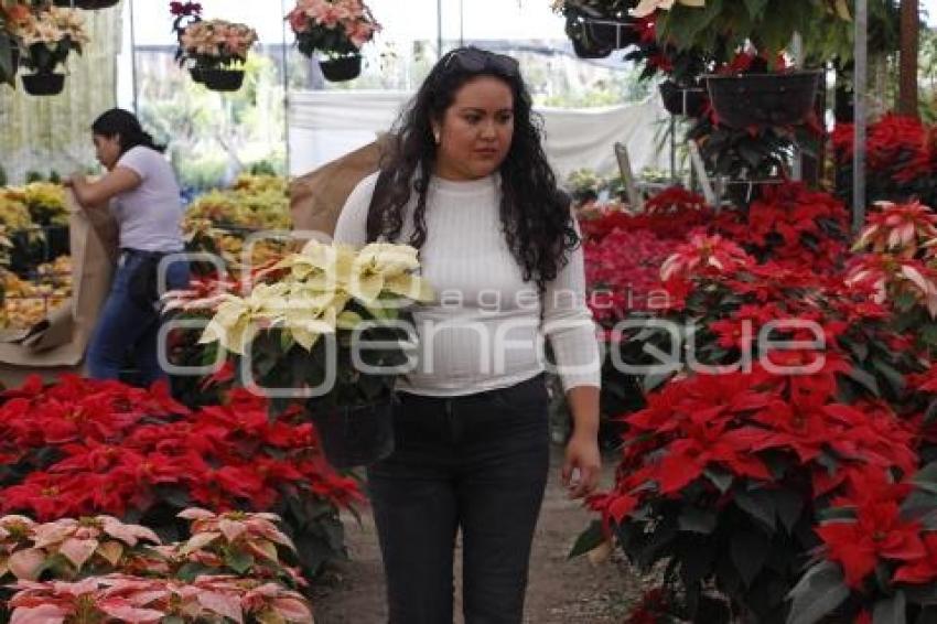 ATLIXCO . VENTA DE NOCHEBUENA