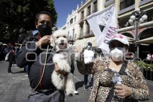 MARCHA CUARTA TRANSFORMACIÓN