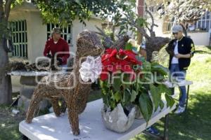 NAVIDAD . ADORNOS