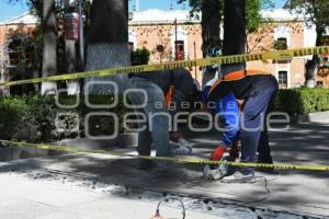 TLAXCALA . REHABILITACIÓN LUMINARIAS