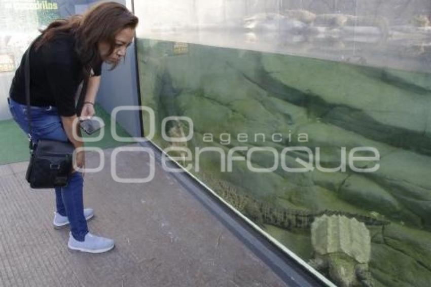 NOCHE DE MUSEOS . ACUARIO MICHIN