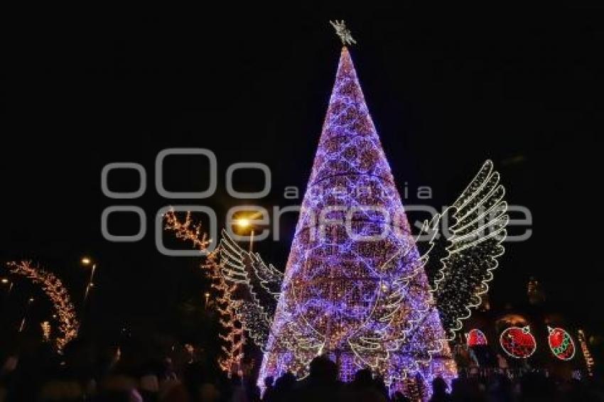 SAN ANDRÉS CHOLULA . ENCENDIDO ÁRBOL