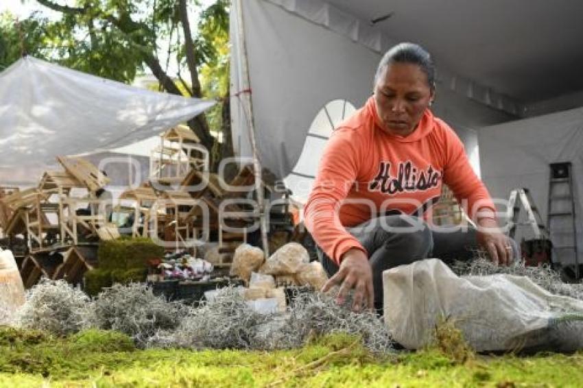 TLAXCALA . PRODUCTOS NAVIDEÑOS