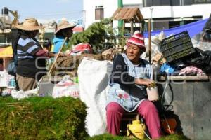 TLAXCALA . PRODUCTOS NAVIDEÑOS